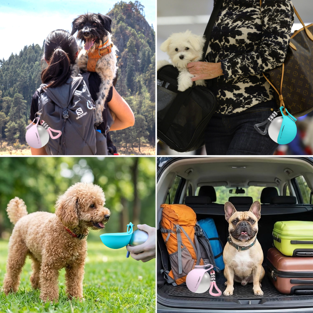 PawGo™ Portable Pet Water Bottle